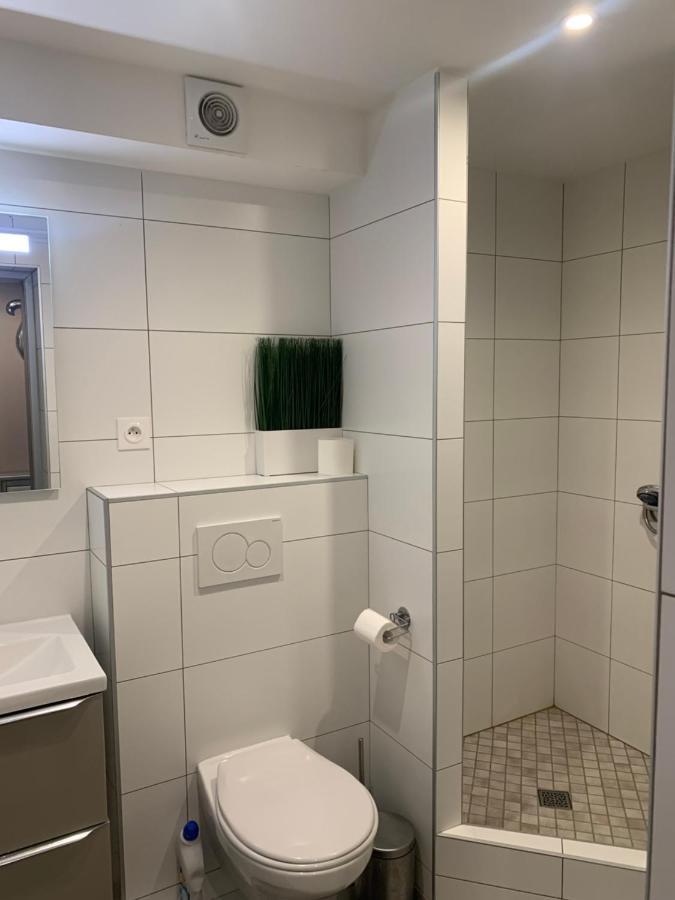 Etoile Apartman Colmar Kültér fotó